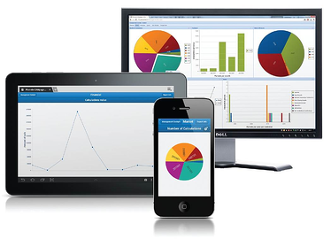 Inzicht in bedrijfsprestaties met online managementtool