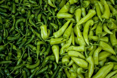 Kom naar de FoodValley Ondernemersmanifestatie op 27 oktober