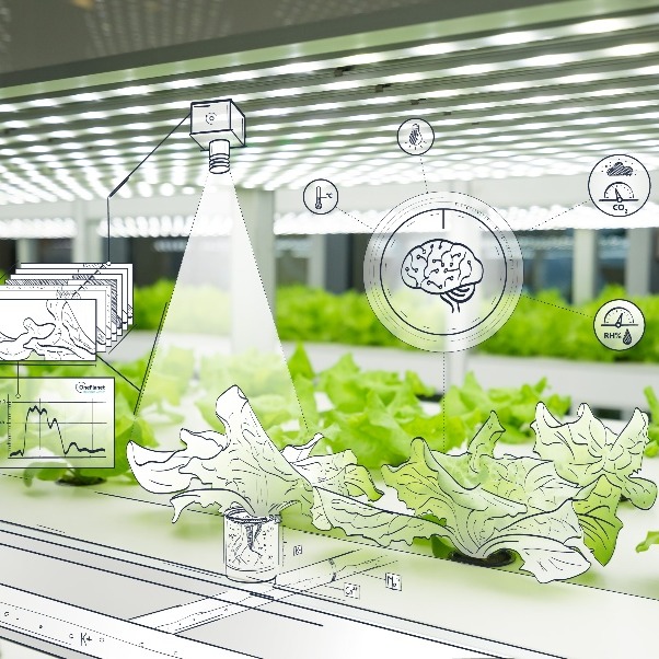 Sharing innovation